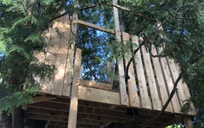 Treehouse Day 11