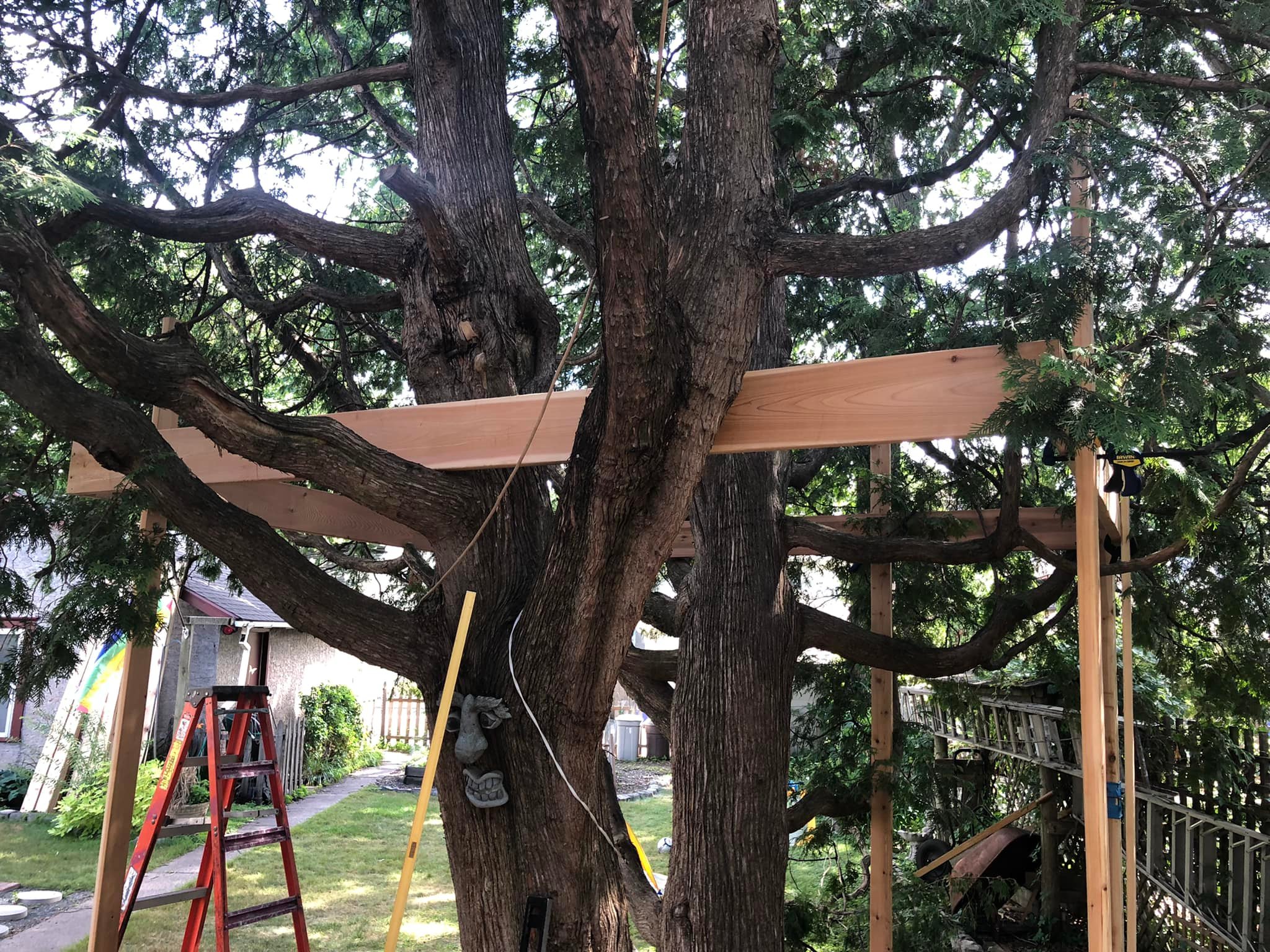 treehouse deck frame