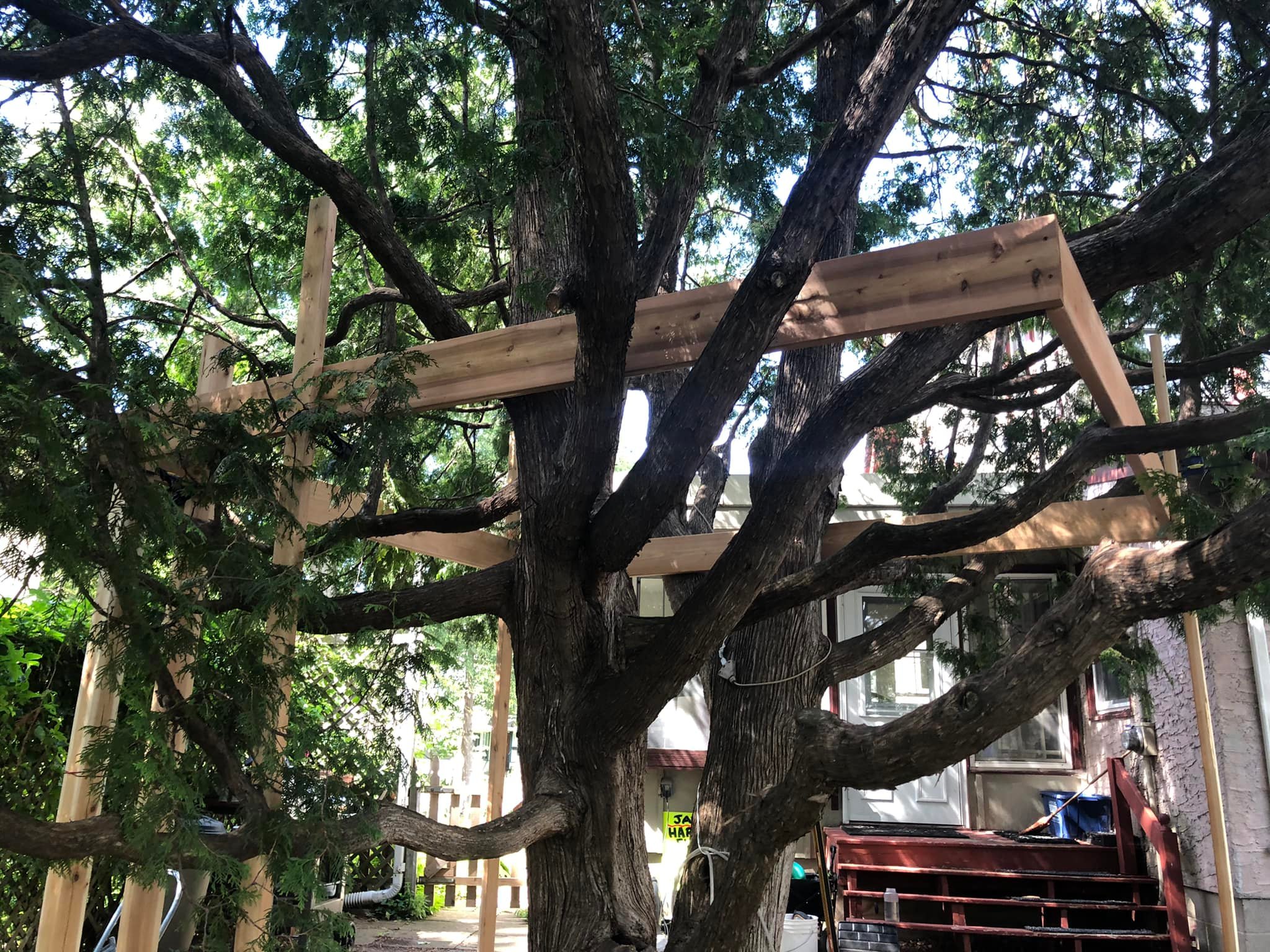 treehouse deck frame
