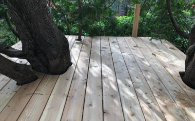 Treehouse Day 5 – Part 2
